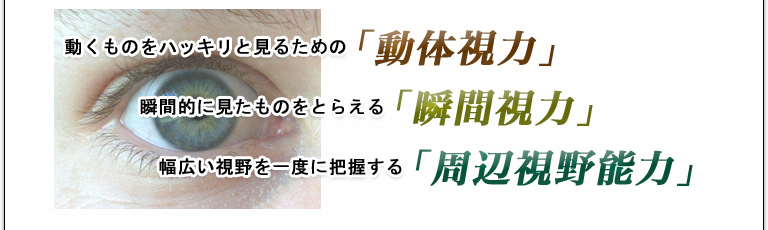 ●動くものをハッキリと見るための「動体視力」●瞬間的に見たものをとらえる「瞬間視力」●幅広い視野を一度に把握する「周辺視野能力」