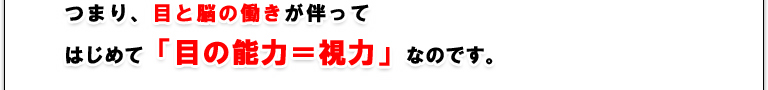 つまり、目と脳の働きが伴ってはじめて「目の能力＝視力」なのです。